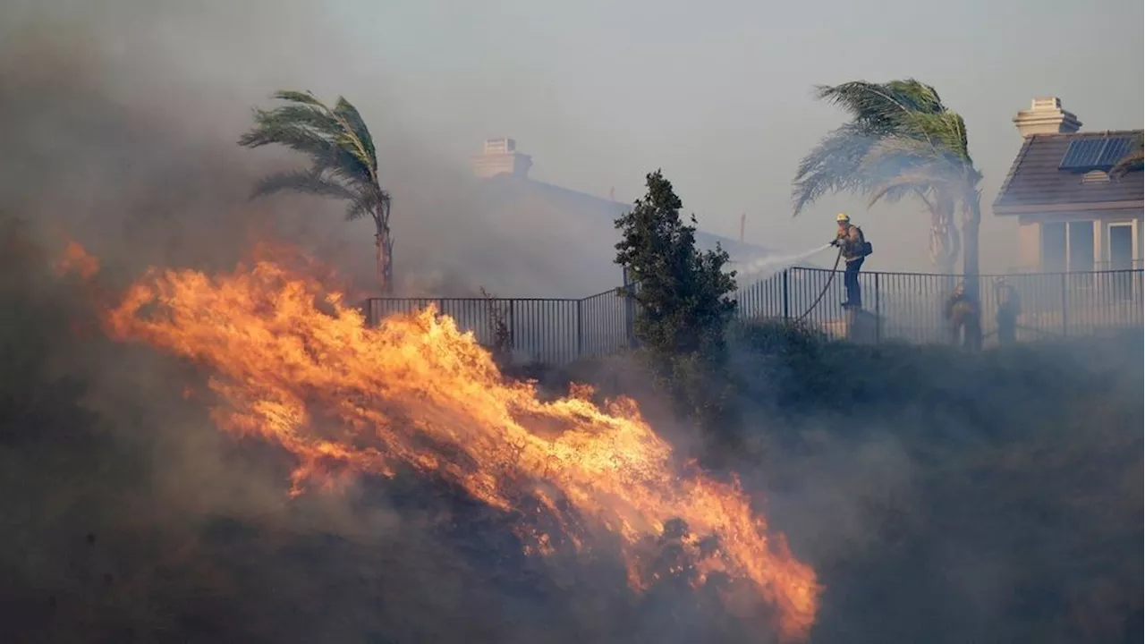 California utility shuts off power in 19 counties as 'diablo' wind spikes risk of wildfire