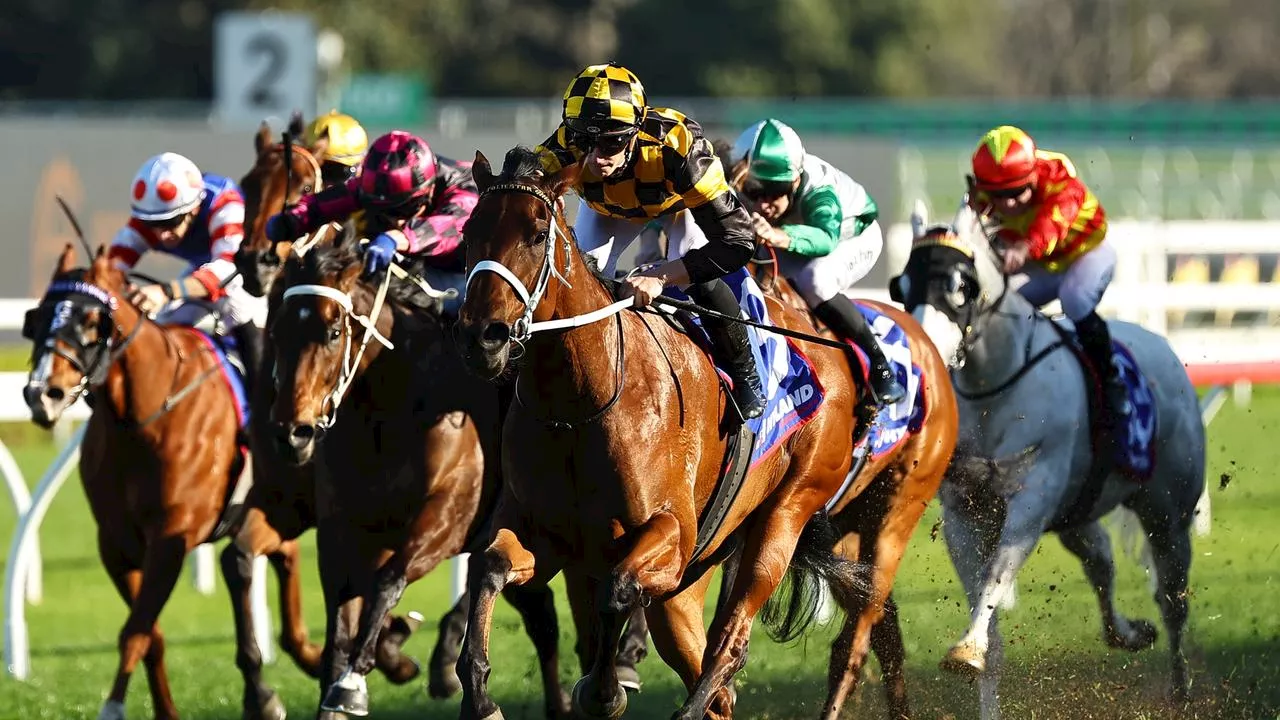 LIVE: $20m on line in world’s richest race on turf; stayers tackle hotly contested Caulfield Cup