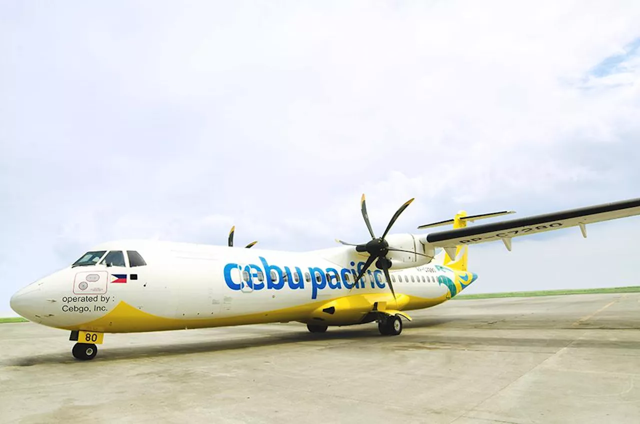 'Watusi' talk delays Bacolod-Manila flight