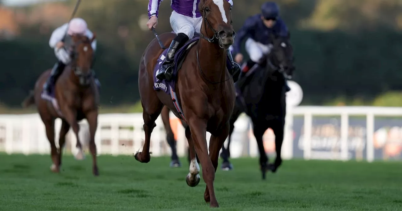 Aidan O’Brien enjoys 170-1 four-timer at Leopardstown as Exactly secures Killavullan Stakes