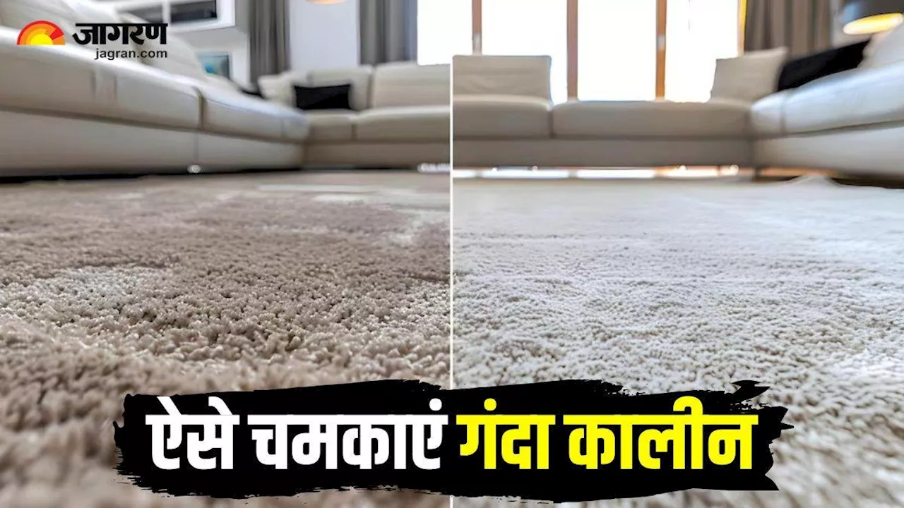 Diwali Cleaning: पुराने कालीन को नए जैसा बना देंगे 5 क्लीनिंग टिप्स, आसानी से छूट जाएगा जिद्दी मैल