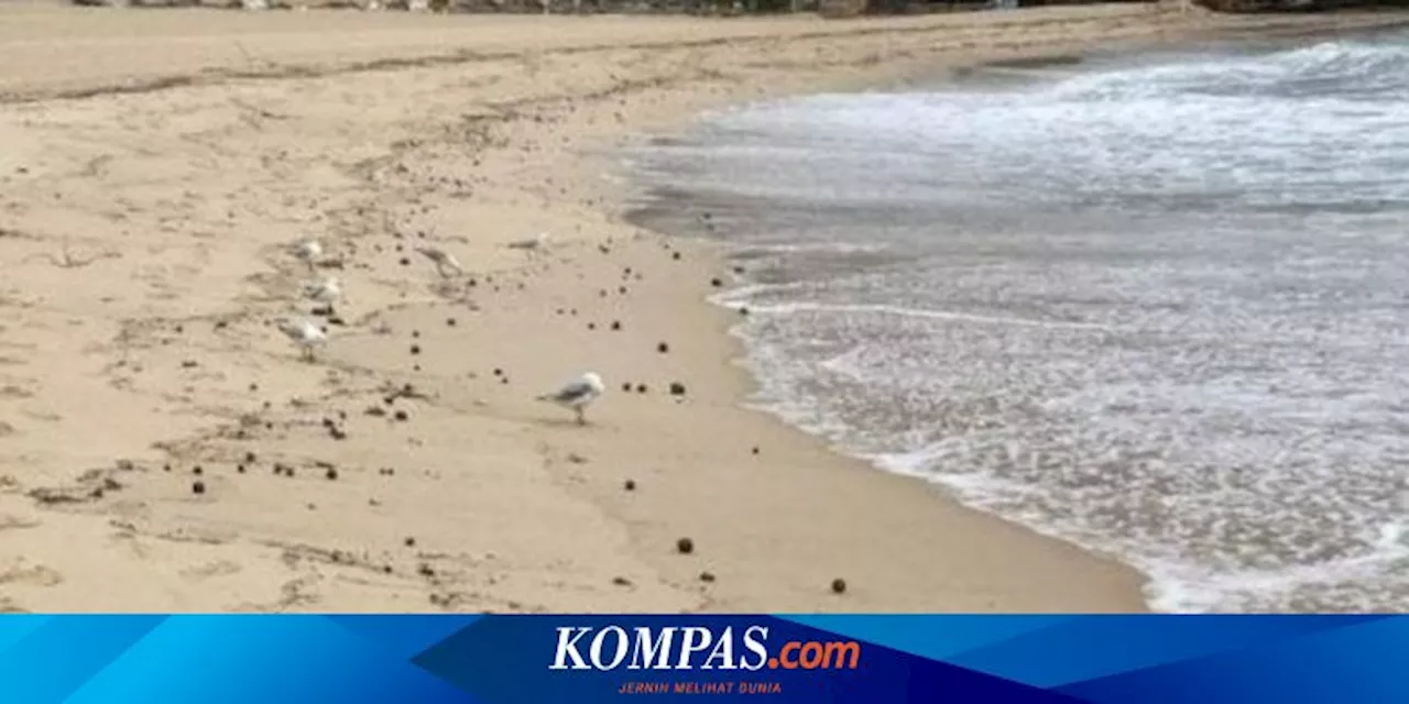 [UNIK GLOBAL] Bola Hitam Misterius di Pantai Sydney | Maladewa Pangkas 7 Menteri demi Efisiensi