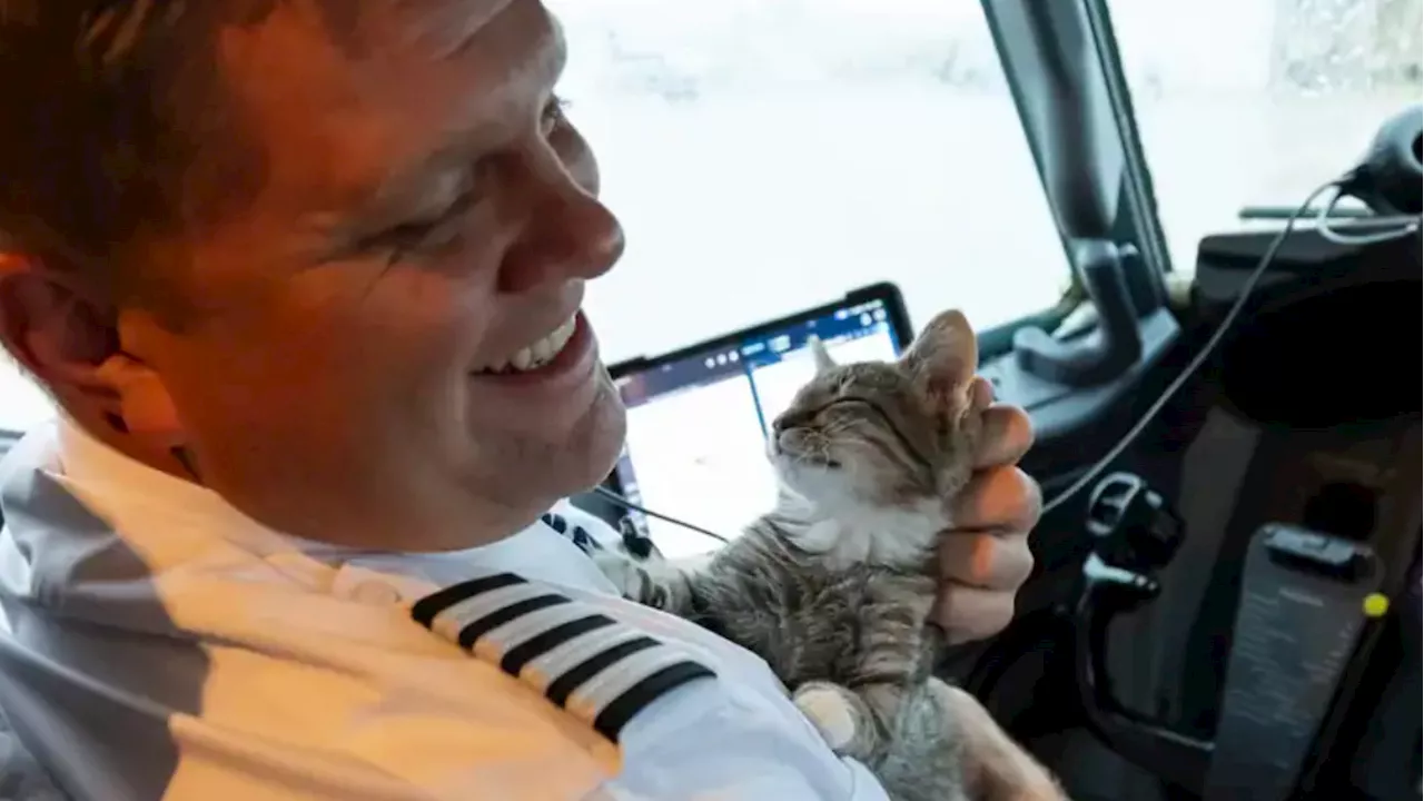 Il Capitano e il Gatto: Un Volo Speciale di Salvezza