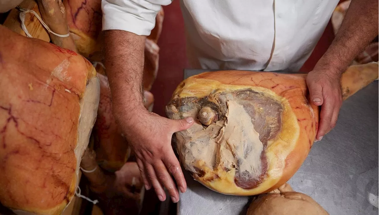 La maestria artigiana del prosciutto San Daniele: da coscia fresca a delizioso prodotto