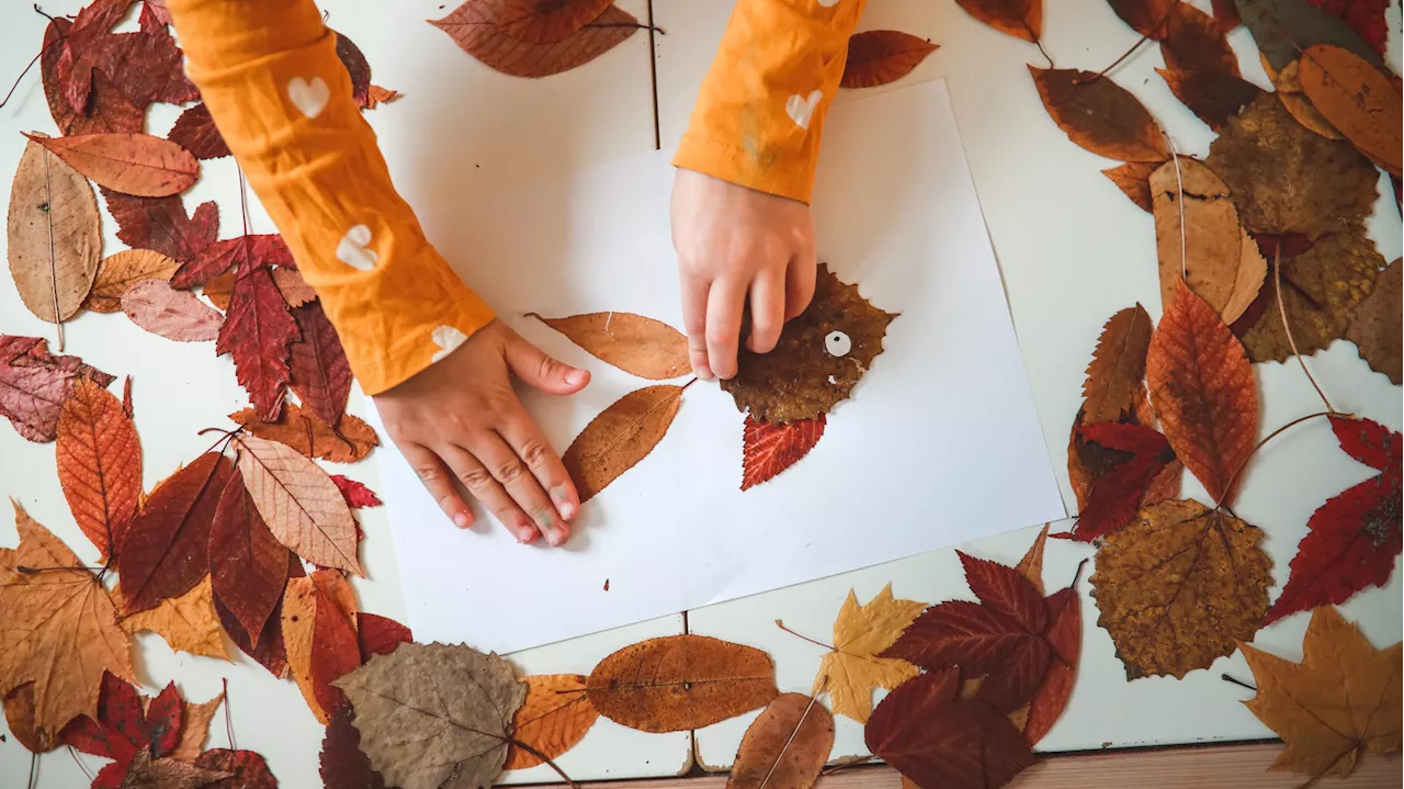 Vacances de la Toussaint : pour occuper vos enfants, voici 5 activités créatives 100 % automnales