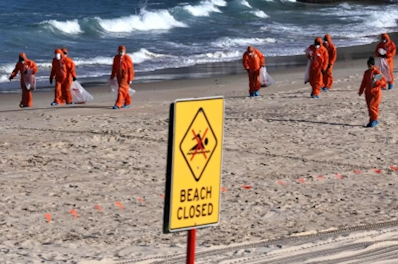 Ewww, what are those black balls on Sydney beaches? Just chemical mix of cosmetics, cleaning products and oil, not harmful, says environmental agency