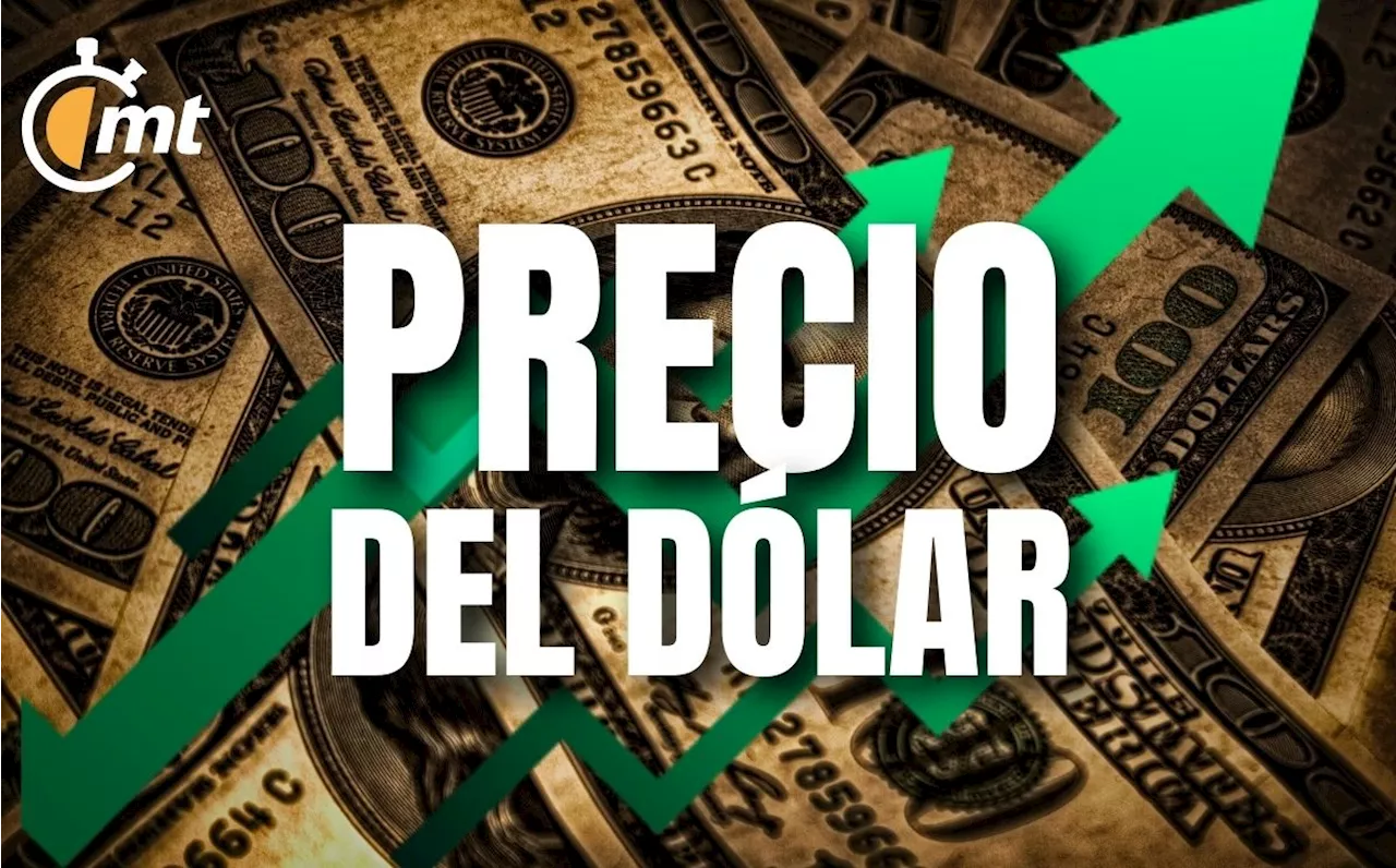 Precio del dólar hoy 19 de octubre 2024: Así va el peso en México al momento