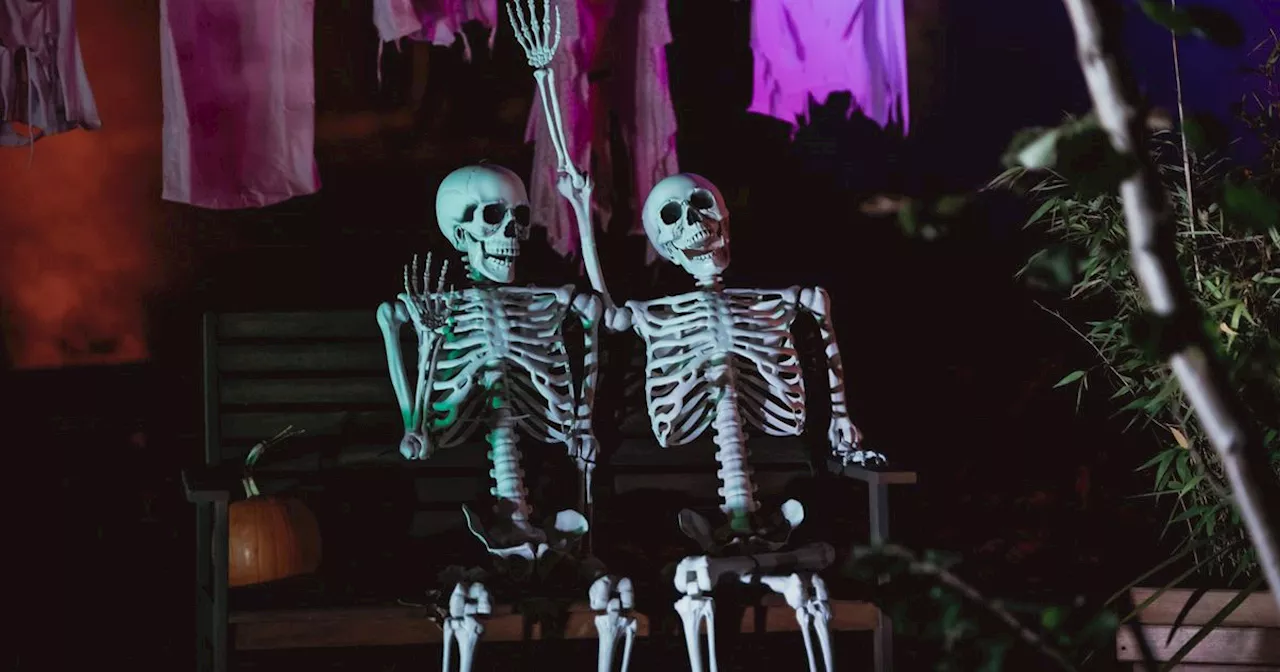 Inside the haunting light trail taking over the Trafford Centre this Halloween