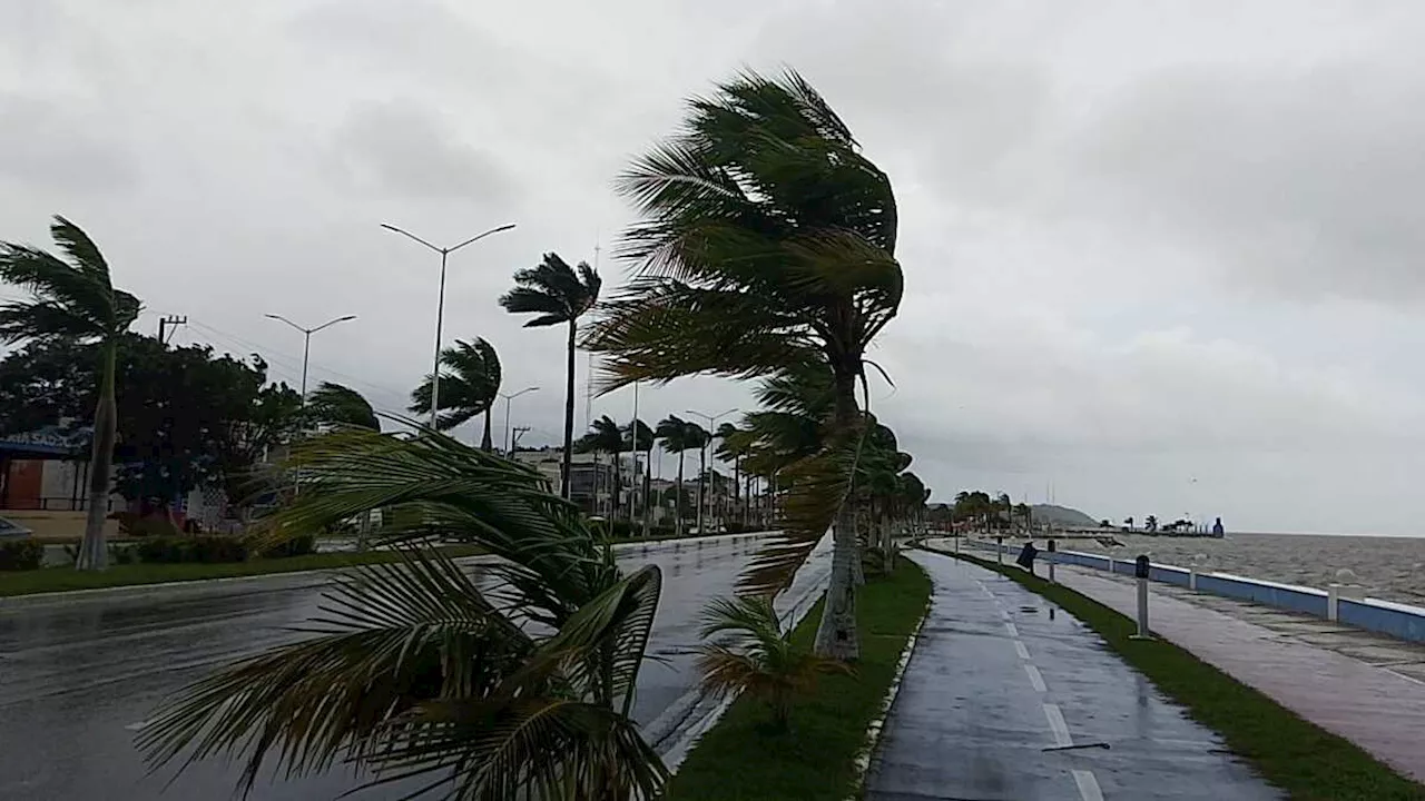 Activan alertas en el sureste del país por proximidad del ciclón tropical 15