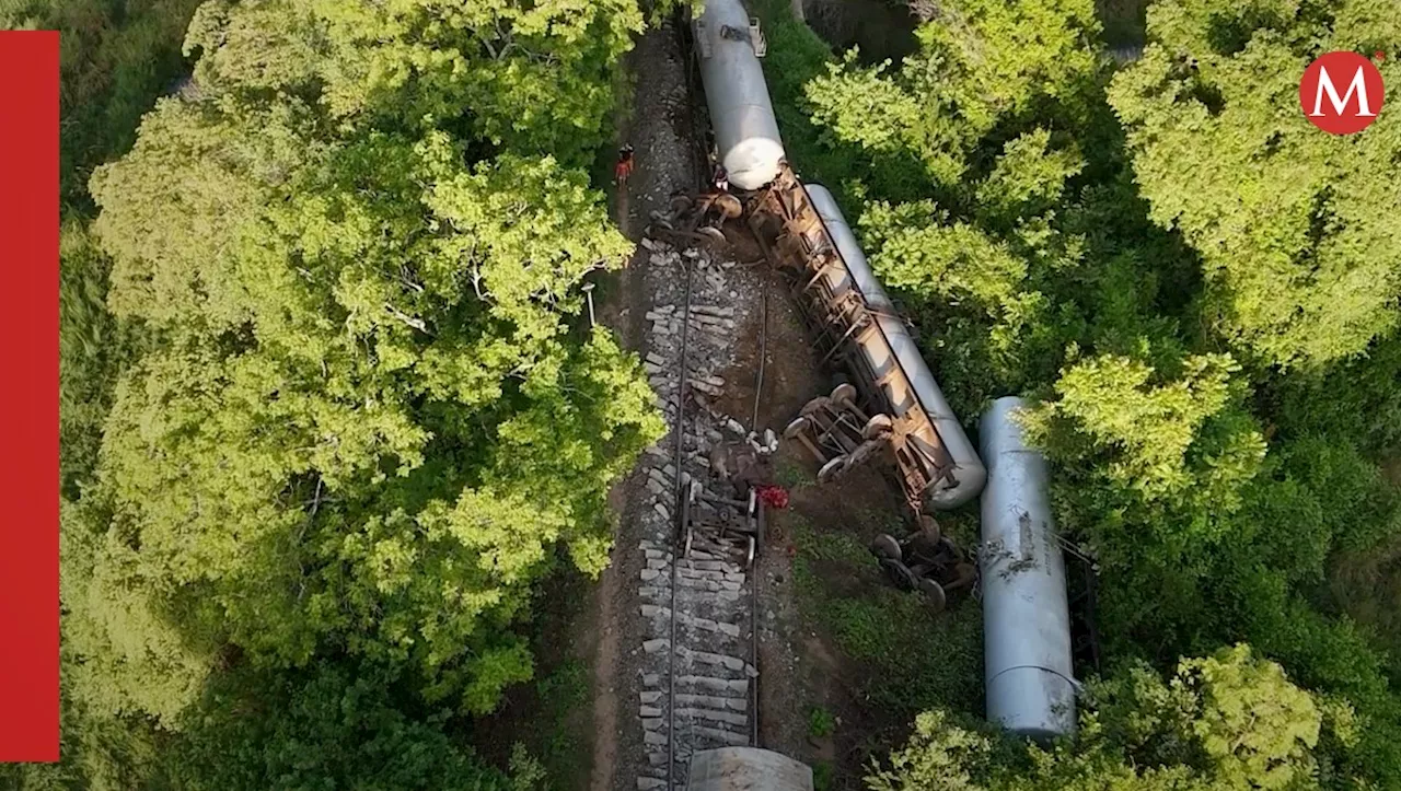 Dos elefantes mueren tras chocar contra un tren en Sri Lanka