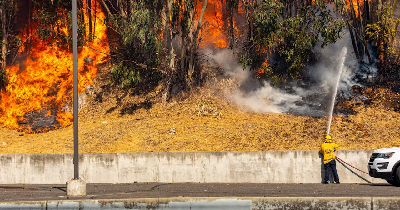 Oakland Hills fire in California damages 2 homes, sparks evacuations