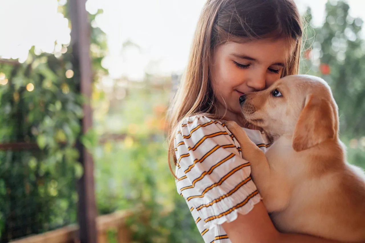  Supervet on why humans need dogs so much