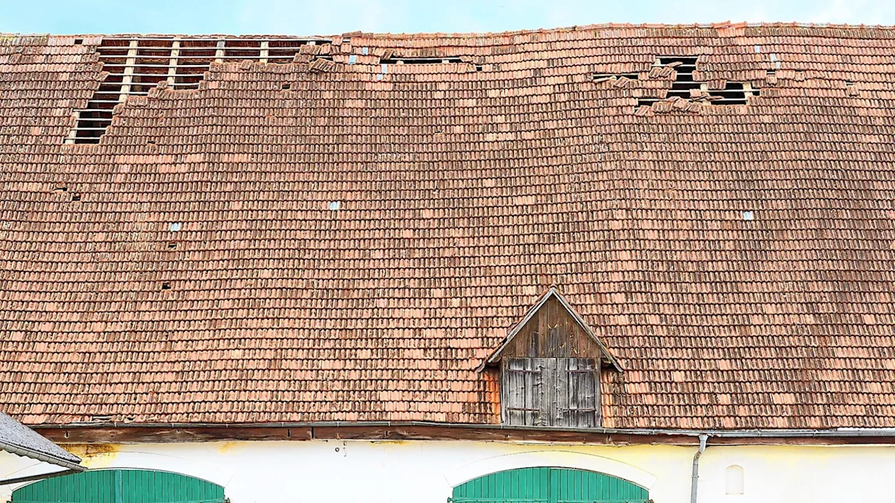 Versicherung bietet „bestmögliche Hilfe für den Ernstfall“