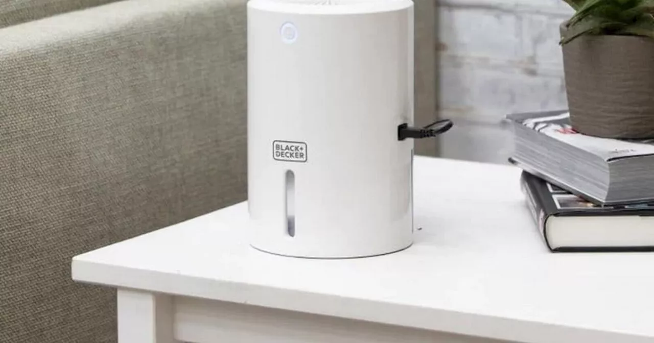 Brits can destroy damp in their home with dehumidifier deal for less than £20