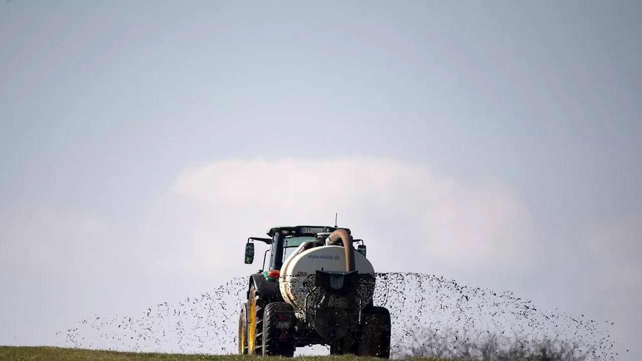 Niedersachsen & Bremen: Landwirte besorgt über Gesetzentwurf zu Flächen