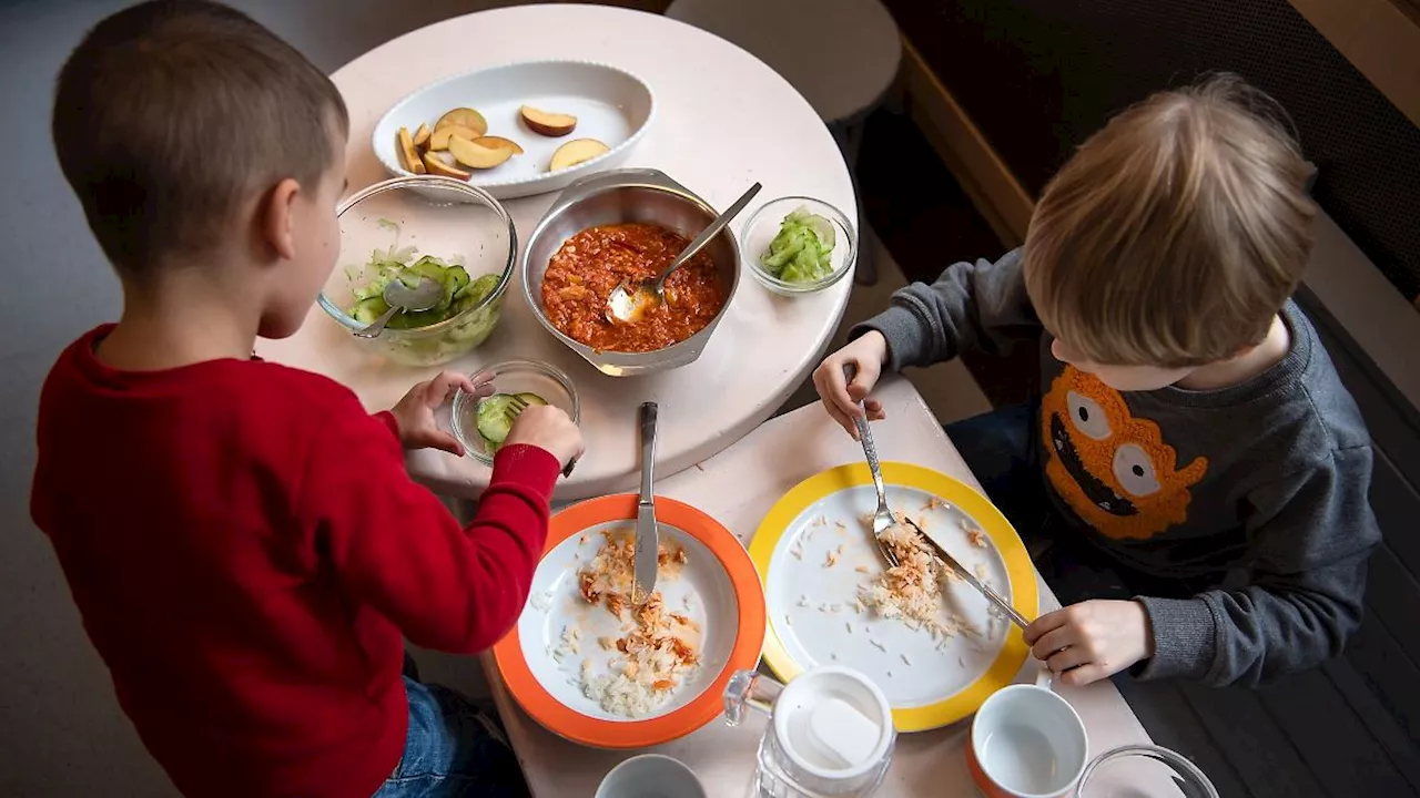 Rheinland-Pfalz & Saarland: Die meisten Kitas bieten warmes Mittagessen an