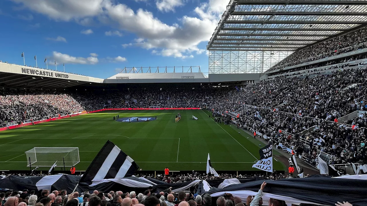 Newcastle 0 Brighton 1 - Instant Newcastle United fan / writer reaction