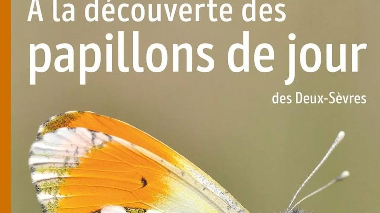 Un nouveau livret pour découvrir les papillons de jour en Deux-Sèvres