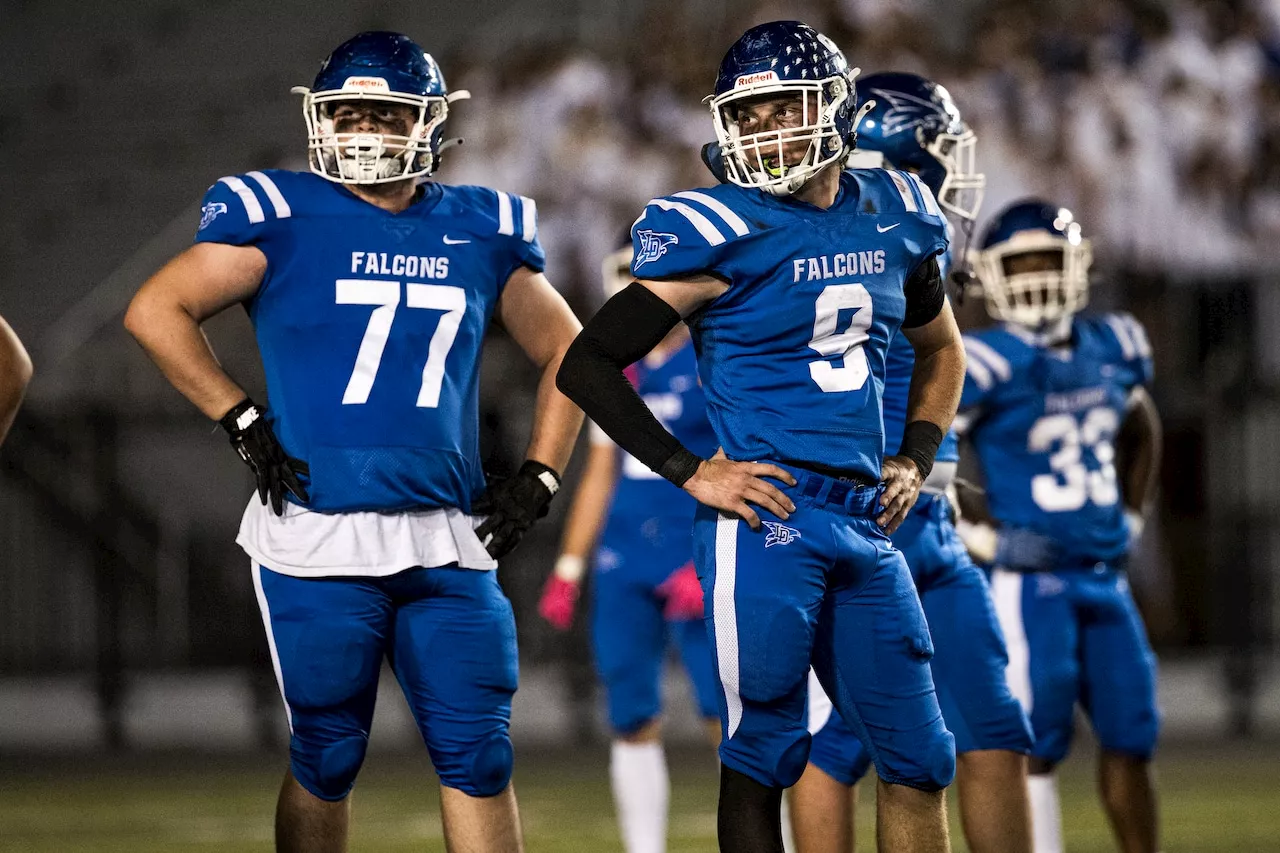 Running back Gerald Sanders, defense stages Lower Dauphin’s victory over Waynesboro