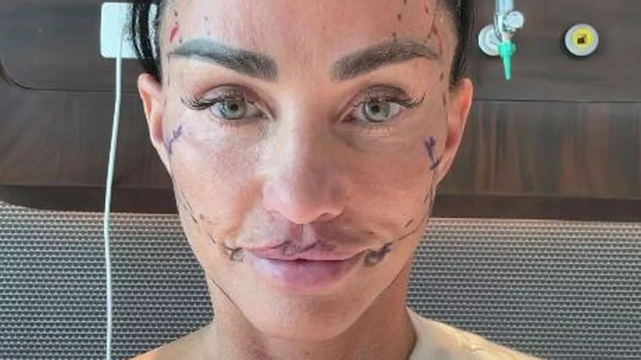 Katie Price: Gesichtserkennung versagt nach Facelifting