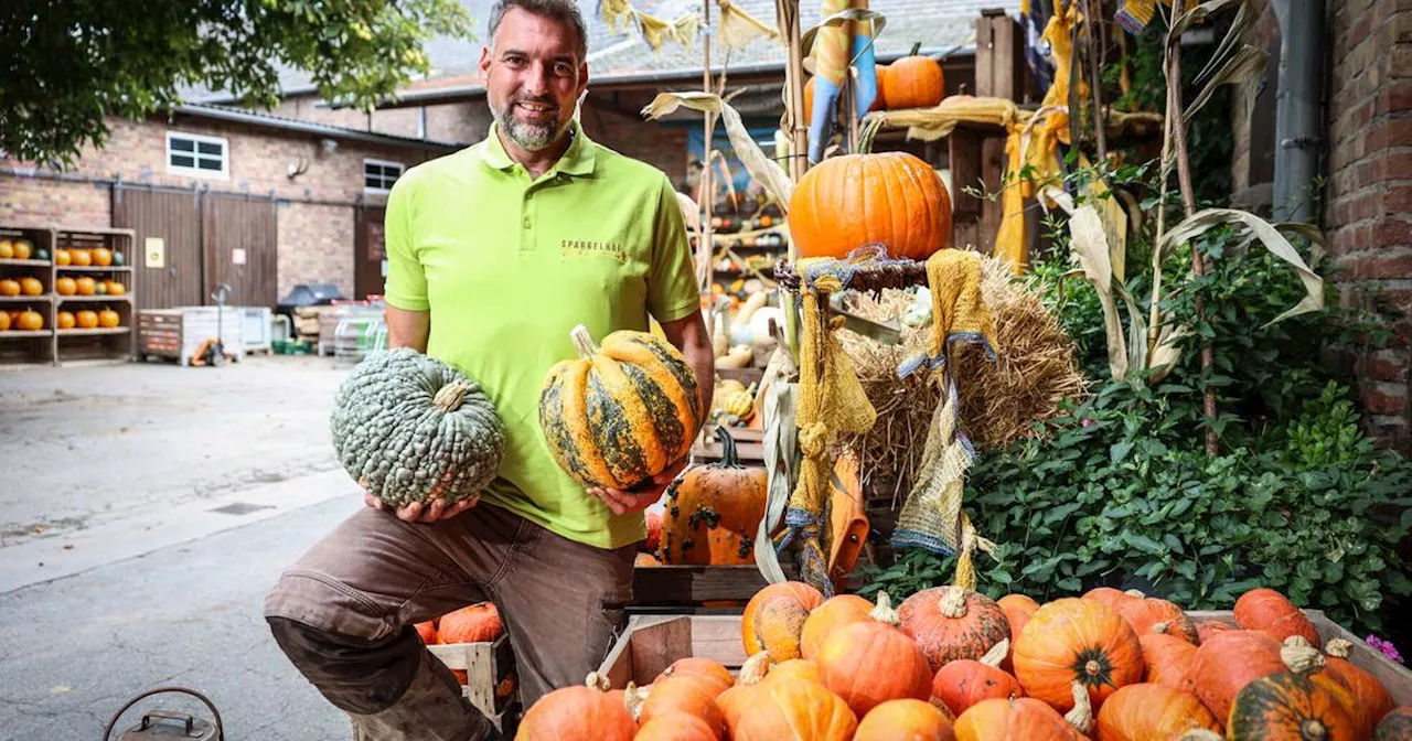 Herbst ist Kürbis-Zeit: Sortenkunde und Rezeptideen