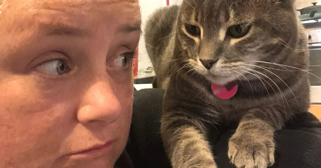 Author Emer McLysaght Opens Up About Her Beloved Cat Pip