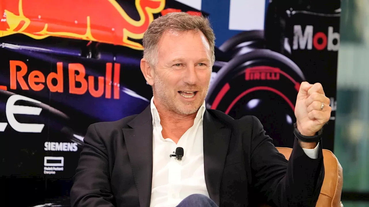 Christian Horner Lashes Out After FIA Red Bull Investigation - 'Been There For Over Three Years'