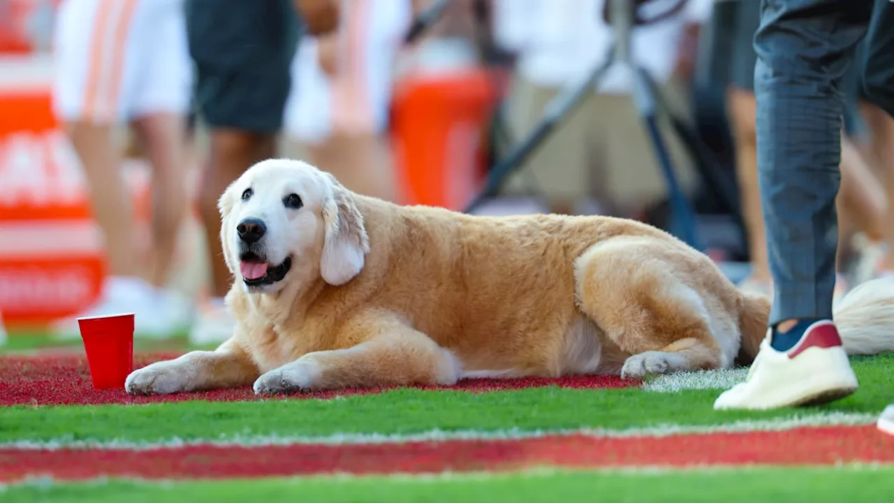 WATCH: Steve Sarkisian Makes Texas Longhorns 'Recruiting Pitch' to Ben Herbstreit