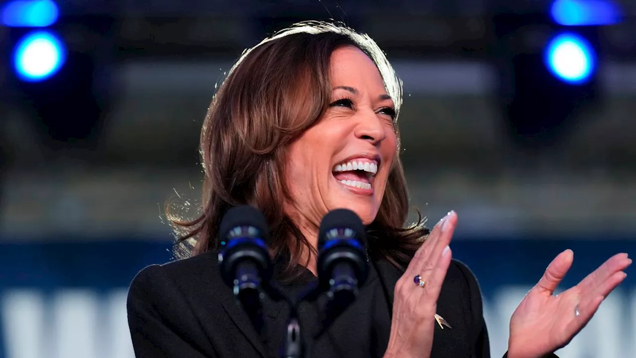 Wahlkampf im Swing State Michigan: Harris stichelt