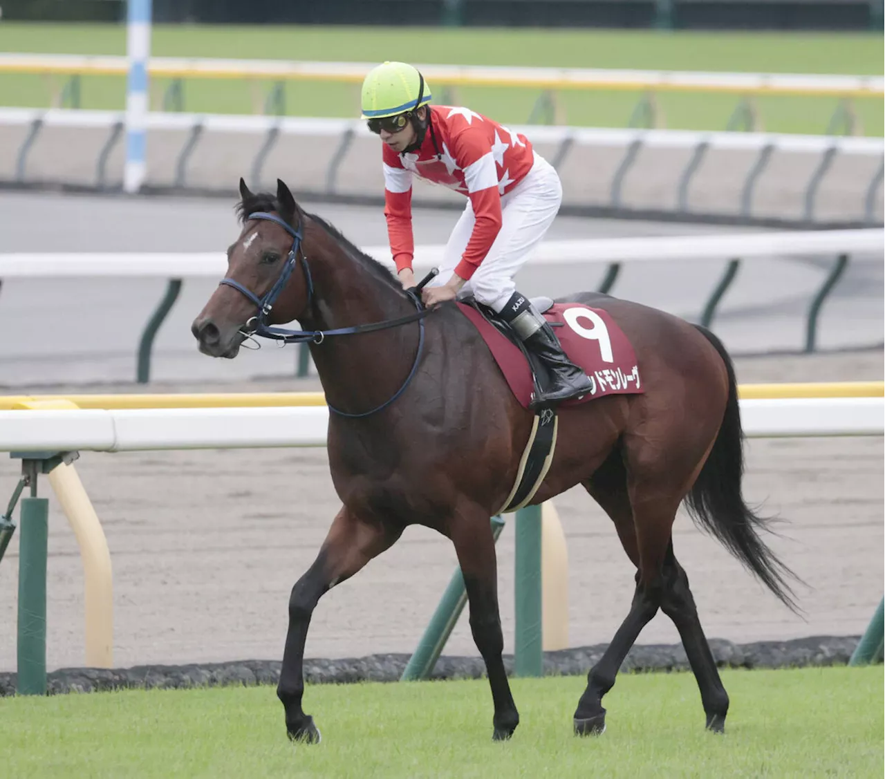 【富士Ｓ】レッドモンレーヴは道中最後方で９着「難しさが出た」横山和生騎手