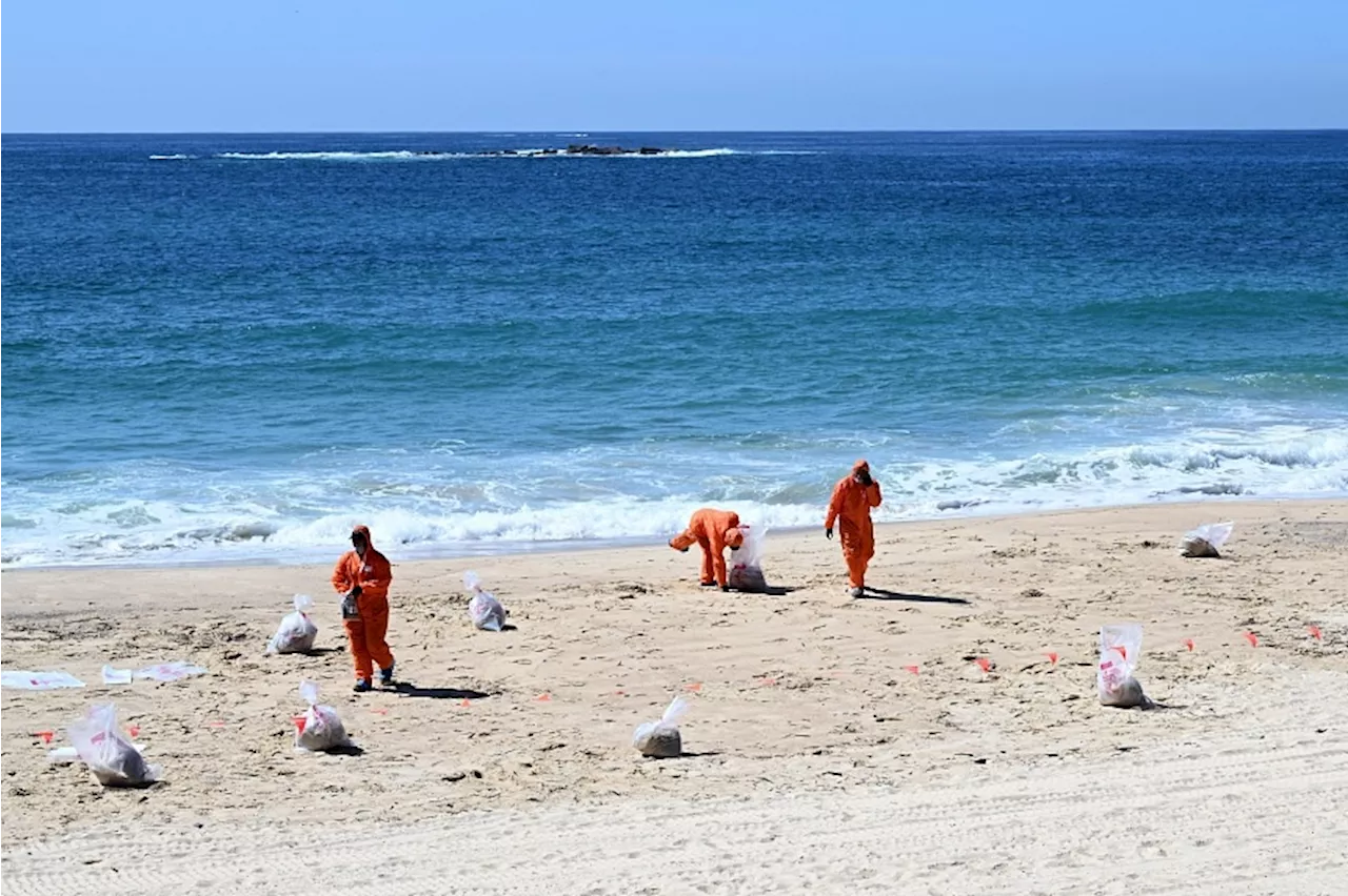 Sydney’s ‘mystery’ toxic beach balls are cosmetic, cleaning product waste