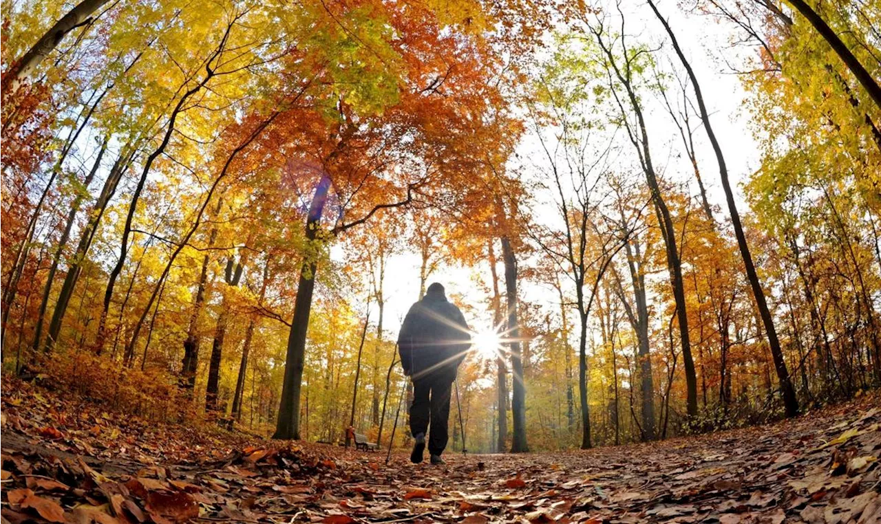 Vacances de Toussaint dans le Sud-Ouest : nos 10 idées de sorties nature cet automne en famille