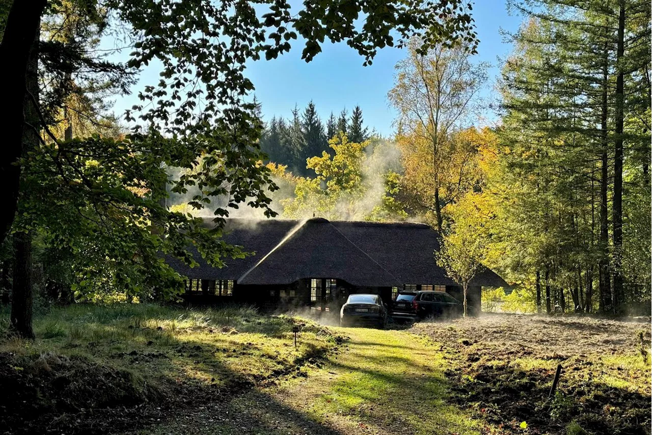 Scheinsitz im Sachsenwald: Firmen nutzen Waldhütte als Briefkastenfirma