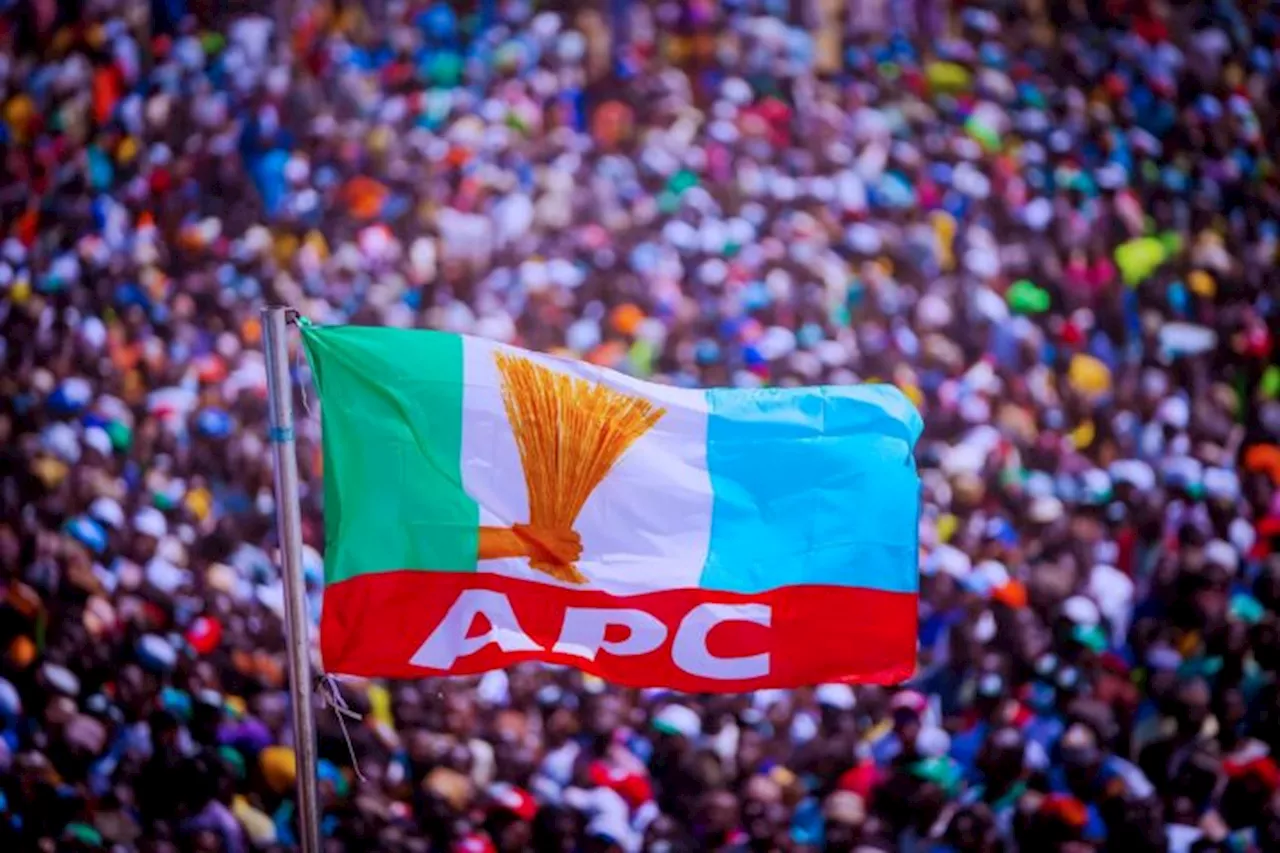 APC wins ALL 23 LGAs in Kaduna council poll