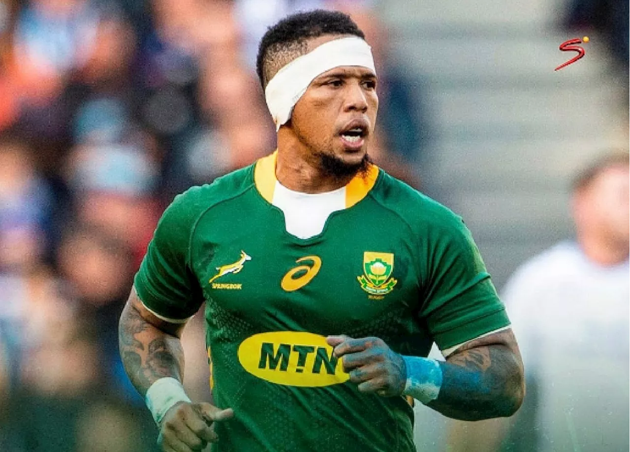 Springbok bad boy Elton Jantjies steps into the ring for charity boxing fight