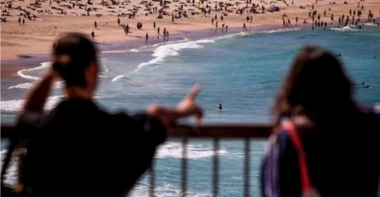 Sydney’s ‘mystery’ toxic beach balls are cosmetic, cleaning product waste