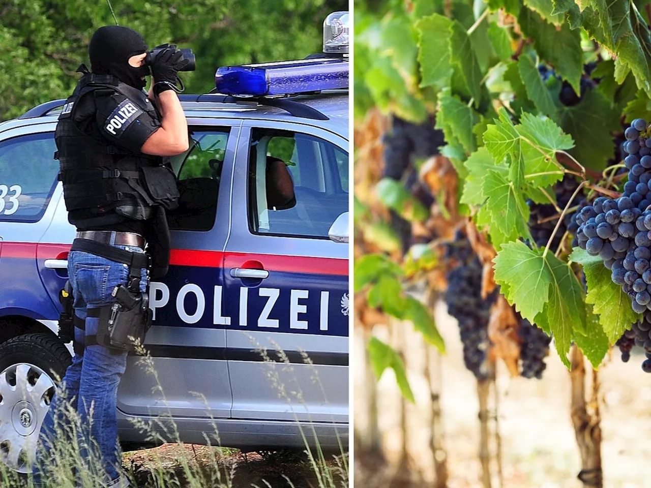 Frau getötet und Sprengsatz gezündet: Cobra-Beamter bei Einsatz schwer verletzt