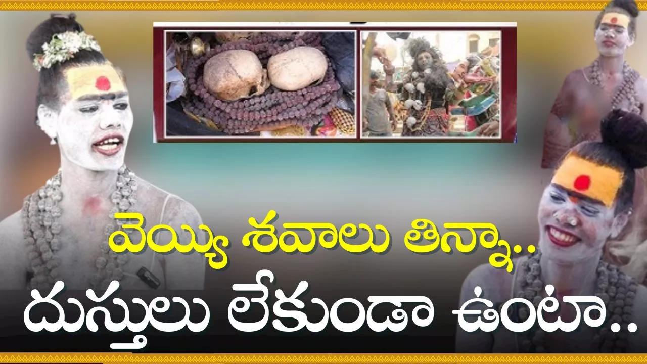 Lady Aghori Naga Sadhu: వెయ్యి శవాలు తిన్నా.. దుస్తులు లేకుండా ఉంటా.. కన్యతనం ఉన్నప్పుడే అలా చేయాలి!