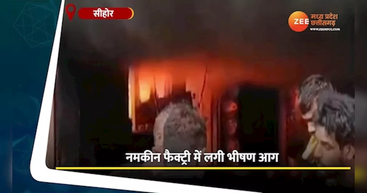 Sehore Video: नमकीन फैक्ट्री में लगी भीषण आग, धू-धूकर जली बिल्डिंग, लाखों का सामान जलकर राख