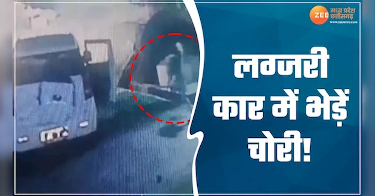 VIDEO: सतना में चरवाहे की नींद उड़ाने आए लग्जरी कार वाले चोर! 17 भेड़ें लेकर हुए फरार