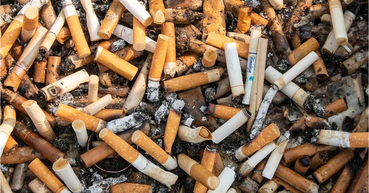 South Australia poised to create 'smoke-free generation' with landmark tobacco legislation