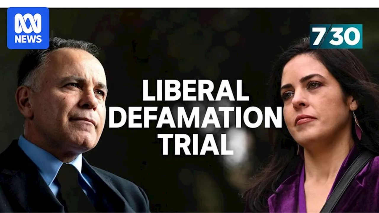 The high stakes defamation trial consuming the Victorian Liberal Party