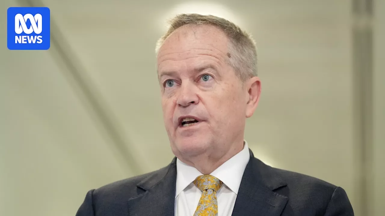 Bill Shorten responds to concerns around NDIS changes and defends handling of support list