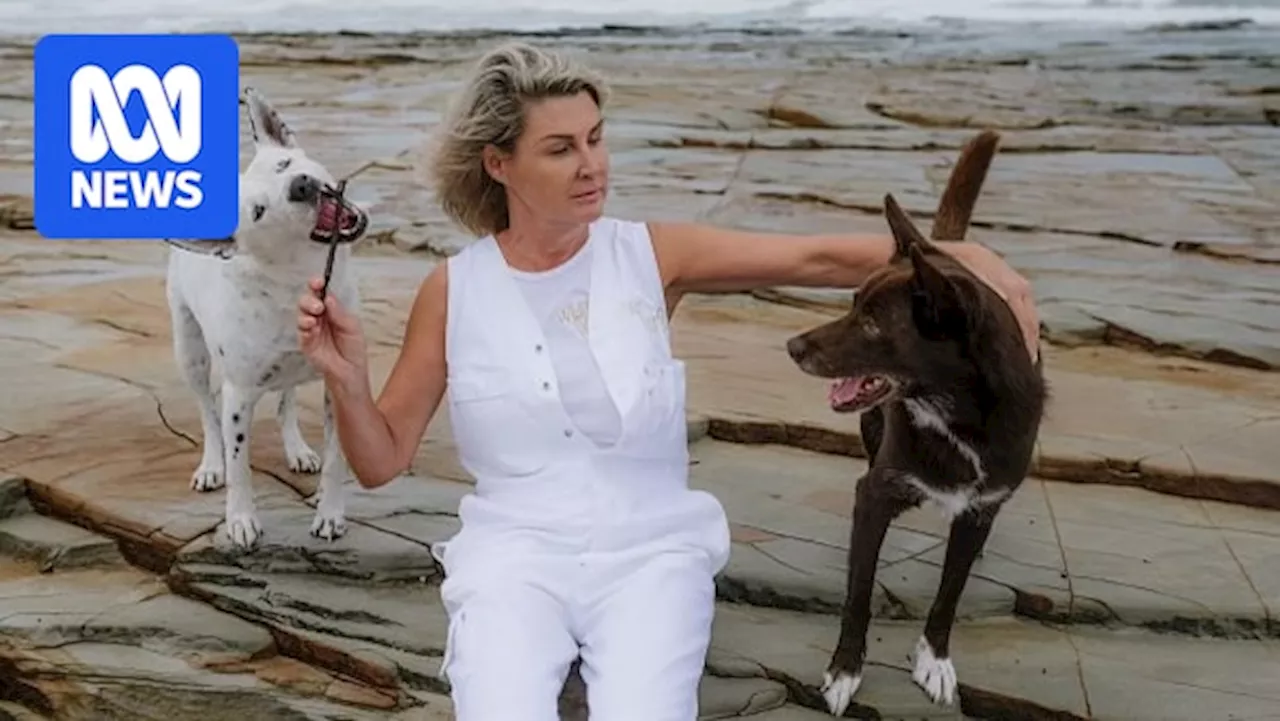 Sunshine Coast Council fines dog owner $800 under new effective control laws