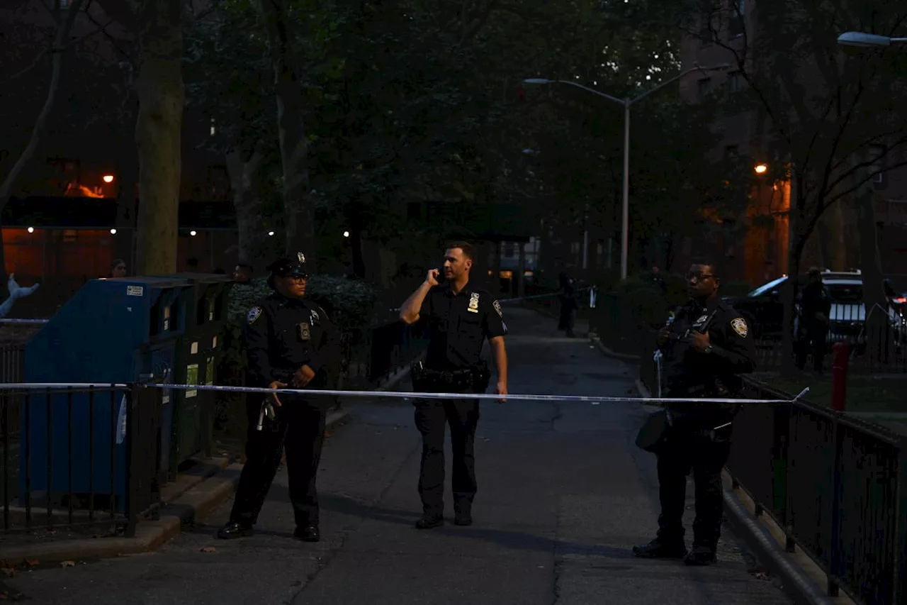 Triple shooting in Bed-Stuy leaves one dead and two injured