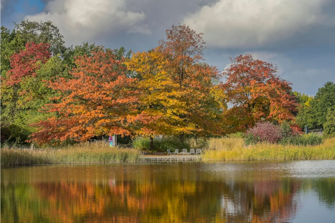 Neukölln: Britzer Garten lockt mit buntem Herbstprogramm und Halloweenspaß