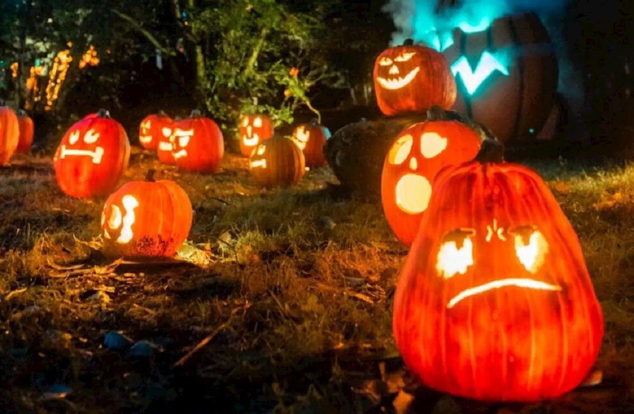 Nearly $130,000 in Federal Funding Aims to Make Burnaby’s Halloween Festival Spooktacular