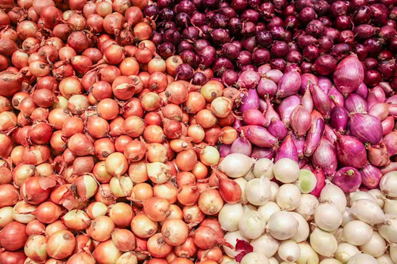 From onion crisis to tough new law: Declaring war on agricultural crime