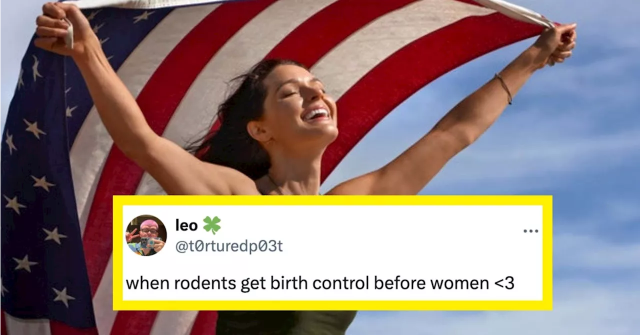 Women Hilariously React To NYC 'Rat Birth Control' Bill