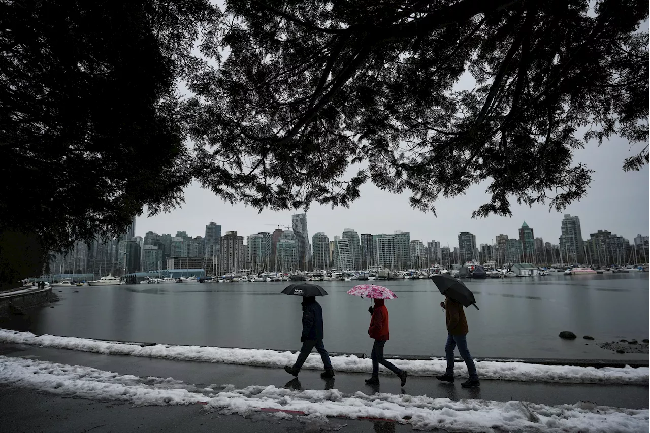 Expected La Nina weather pattern could ease ongoing drought conditions in B.C.